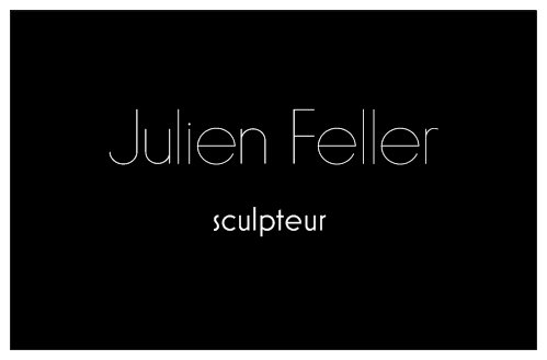 Julien Feller - Logo