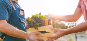 Retour des marchés de terroir