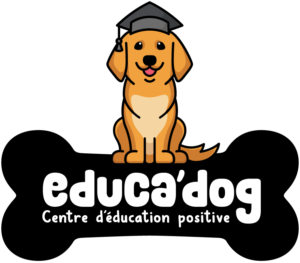 educadog 1
