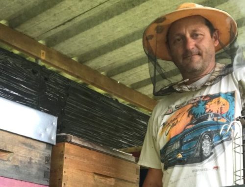 Olivier Lisman, un apiculteur passionné