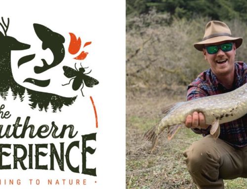 The Southern Experience : des ateliers 100% nature
